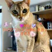 ヒメ日記 2025/02/04 11:53 投稿 すばる 熟女の風俗最終章 相模原店