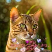 ヒメ日記 2025/02/12 08:21 投稿 すばる 熟女の風俗最終章 相模原店