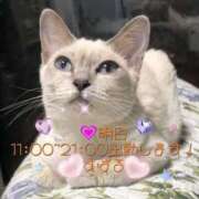 ヒメ日記 2025/02/18 12:02 投稿 すばる 熟女の風俗最終章 相模原店