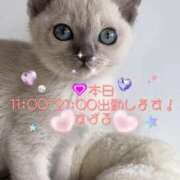 ヒメ日記 2025/02/19 08:11 投稿 すばる 熟女の風俗最終章 相模原店