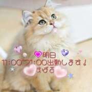 ヒメ日記 2025/02/25 11:57 投稿 すばる 熟女の風俗最終章 相模原店