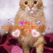 ヒメ日記 2025/03/04 11:51 投稿 すばる 熟女の風俗最終章 相模原店