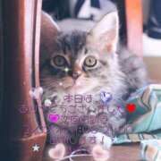 ヒメ日記 2025/03/05 20:37 投稿 すばる 熟女の風俗最終章 相模原店