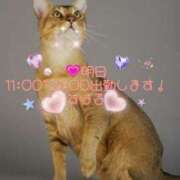 ヒメ日記 2025/03/11 11:53 投稿 すばる 熟女の風俗最終章 相模原店