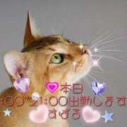 ヒメ日記 2025/03/12 08:09 投稿 すばる 熟女の風俗最終章 相模原店