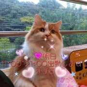 ヒメ日記 2025/03/18 11:57 投稿 すばる 熟女の風俗最終章 相模原店