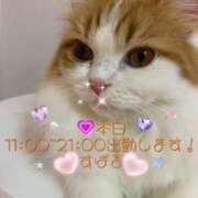 ヒメ日記 2025/03/19 08:11 投稿 すばる 熟女の風俗最終章 相模原店