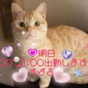 ヒメ日記 2025/03/25 12:03 投稿 すばる 熟女の風俗最終章 相模原店