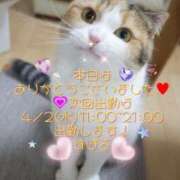 ヒメ日記 2025/03/26 20:51 投稿 すばる 熟女の風俗最終章 相模原店