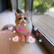 ヒメ日記 2025/04/01 12:11 投稿 すばる 熟女の風俗最終章 相模原店