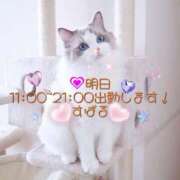 ヒメ日記 2025/04/08 12:03 投稿 すばる 熟女の風俗最終章 相模原店