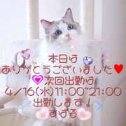 ヒメ日記 2025/04/09 15:21 投稿 すばる 熟女の風俗最終章 相模原店