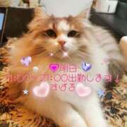 ヒメ日記 2025/04/22 12:01 投稿 すばる 熟女の風俗最終章 相模原店