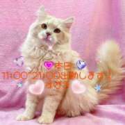 ヒメ日記 2025/04/23 08:01 投稿 すばる 熟女の風俗最終章 相模原店