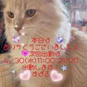 ヒメ日記 2025/04/23 13:41 投稿 すばる 熟女の風俗最終章 相模原店