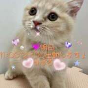 ヒメ日記 2025/04/29 12:01 投稿 すばる 熟女の風俗最終章 相模原店