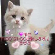 ヒメ日記 2025/04/30 08:09 投稿 すばる 熟女の風俗最終章 相模原店