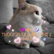 ヒメ日記 2025/05/06 11:50 投稿 すばる 熟女の風俗最終章 相模原店