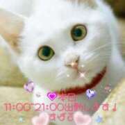 ヒメ日記 2025/05/07 08:09 投稿 すばる 熟女の風俗最終章 相模原店