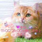 ヒメ日記 2025/05/28 08:00 投稿 すばる 熟女の風俗最終章 相模原店