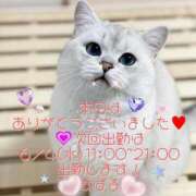 ヒメ日記 2025/05/28 20:34 投稿 すばる 熟女の風俗最終章 相模原店