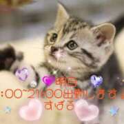 ヒメ日記 2025/06/03 12:29 投稿 すばる 熟女の風俗最終章 相模原店