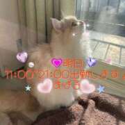 ヒメ日記 2025/06/17 12:08 投稿 すばる 熟女の風俗最終章 相模原店