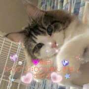 ヒメ日記 2025/06/24 11:50 投稿 すばる 熟女の風俗最終章 相模原店