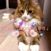 ヒメ日記 2025/06/25 08:00 投稿 すばる 熟女の風俗最終章 相模原店