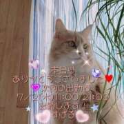 ヒメ日記 2025/06/25 21:01 投稿 すばる 熟女の風俗最終章 相模原店