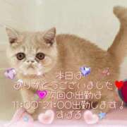 ヒメ日記 2025/07/09 20:25 投稿 すばる 熟女の風俗最終章 相模原店