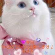 ヒメ日記 2025/07/16 08:20 投稿 すばる 熟女の風俗最終章 相模原店