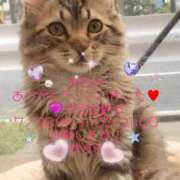 ヒメ日記 2025/07/23 20:50 投稿 すばる 熟女の風俗最終章 相模原店