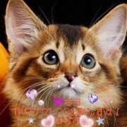 ヒメ日記 2025/08/06 08:00 投稿 すばる 熟女の風俗最終章 相模原店