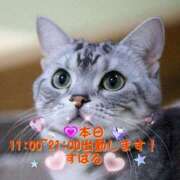 ヒメ日記 2025/08/20 08:20 投稿 すばる 熟女の風俗最終章 相模原店