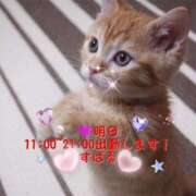 ヒメ日記 2025/09/02 12:16 投稿 すばる 熟女の風俗最終章 相模原店