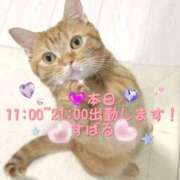 ヒメ日記 2025/09/03 08:20 投稿 すばる 熟女の風俗最終章 相模原店