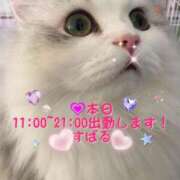 ヒメ日記 2025/09/10 08:10 投稿 すばる 熟女の風俗最終章 相模原店