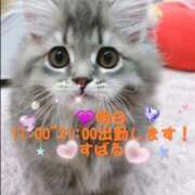 ヒメ日記 2025/09/16 12:04 投稿 すばる 熟女の風俗最終章 相模原店