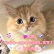 ヒメ日記 2025/09/17 08:05 投稿 すばる 熟女の風俗最終章 相模原店