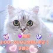 ヒメ日記 2025/09/23 12:01 投稿 すばる 熟女の風俗最終章 相模原店