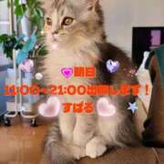 ヒメ日記 2025/09/30 12:01 投稿 すばる 熟女の風俗最終章 相模原店