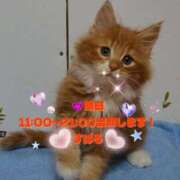 ヒメ日記 2025/10/14 12:01 投稿 すばる 熟女の風俗最終章 相模原店