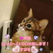 ヒメ日記 2025/10/21 12:01 投稿 すばる 熟女の風俗最終章 相模原店