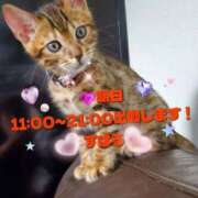 ヒメ日記 2025/10/28 12:09 投稿 すばる 熟女の風俗最終章 相模原店