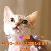 ヒメ日記 2025/11/04 12:20 投稿 すばる 熟女の風俗最終章 相模原店