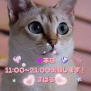 ヒメ日記 2025/11/05 08:30 投稿 すばる 熟女の風俗最終章 相模原店