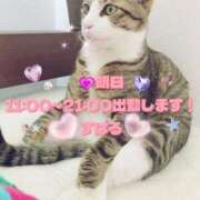 ヒメ日記 2025/11/11 12:02 投稿 すばる 熟女の風俗最終章 相模原店