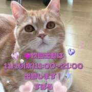 ヒメ日記 2025/11/11 22:50 投稿 すばる 熟女の風俗最終章 相模原店