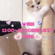 ヒメ日記 2025/11/18 12:02 投稿 すばる 熟女の風俗最終章 相模原店